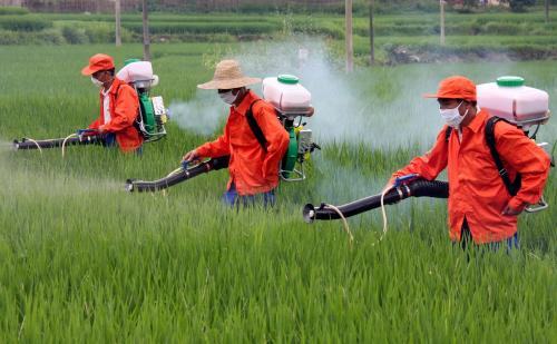 食品安全檢測儀能夠檢測哪些物質(zhì)？食品安全檢測儀廠家解